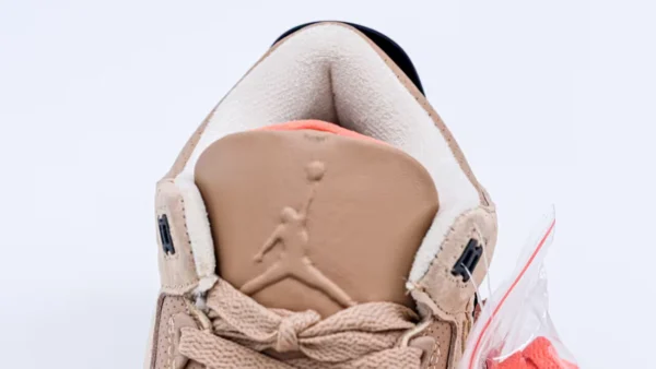 Air Jordan 3 Retro JTH Bio Beige 4webp13