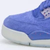 Air Jordan 4 PE Florida Gators 6webp123