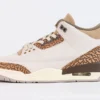 Air Jordan Reps 3 Retro Palomino11