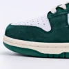 NK Dunk SB x Whter The Plant23webp32