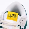 NK Dunk SB x Whter The Plant27webp36