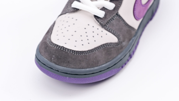 NK SB Dunk Low Purple Pigeon4