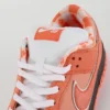 concepts x dunk low sb orange lobster replica 5